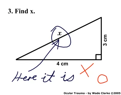 Best Exam Answer Ever